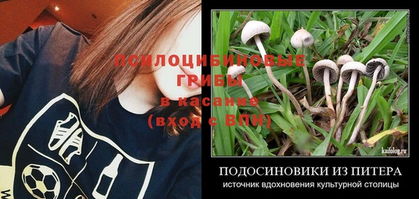 Альфа ПВП Балабаново