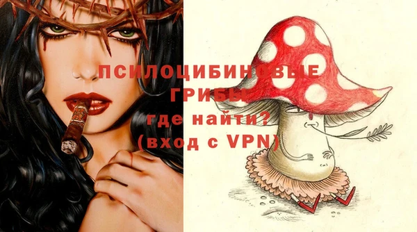 мяу мяу мука Переславль-Залесский