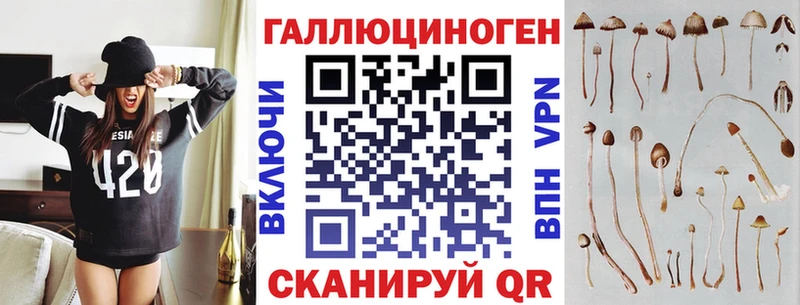 мега сайт  Североуральск  Псилоцибиновые грибы Psilocybe  где купить наркоту 